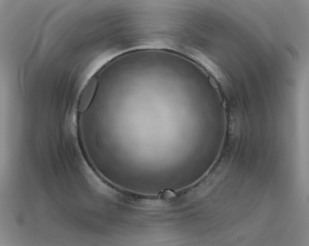 X0000113591468200909181321