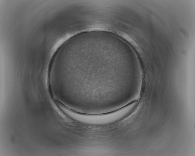 X0000113591469200909181321