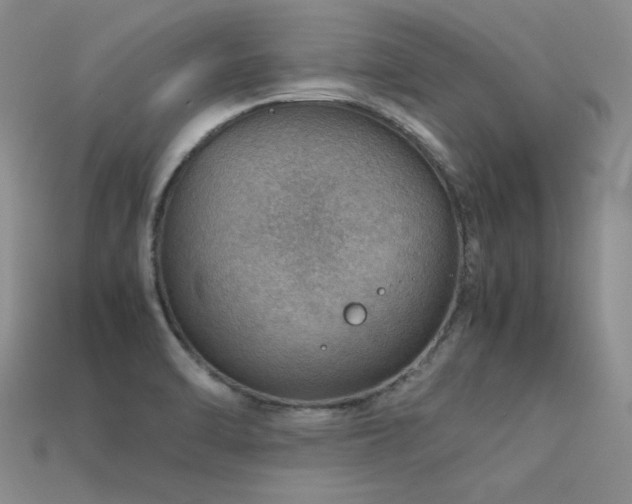 X0000113591470200909181321