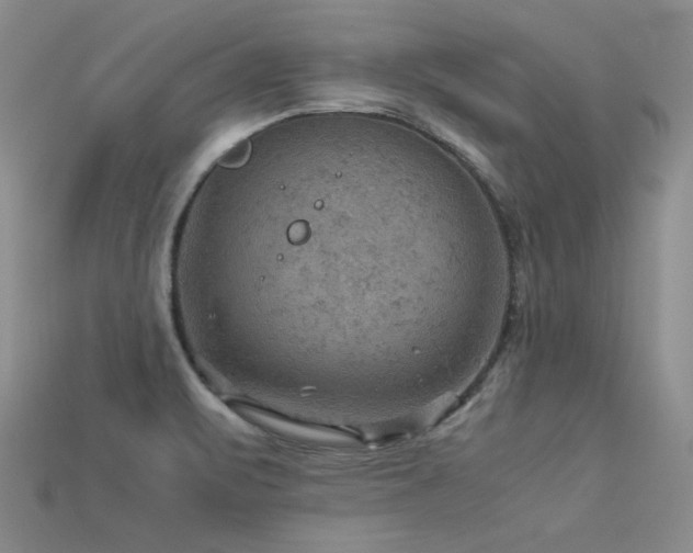 X0000113591471200909181321