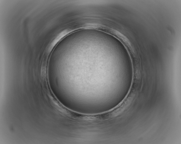 X0000113591473200909181321