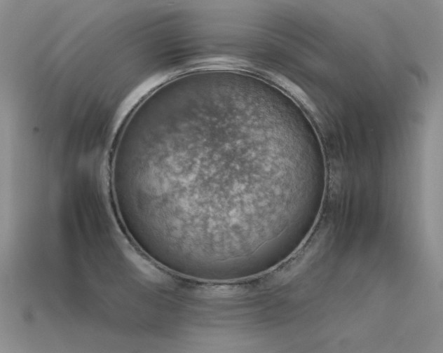 X0000113591474200909181321