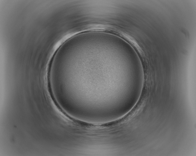 X0000113591475200909181321