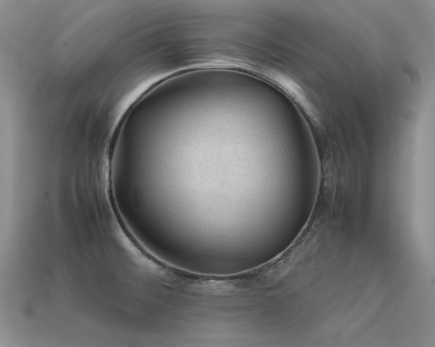 X0000113591476200909181321