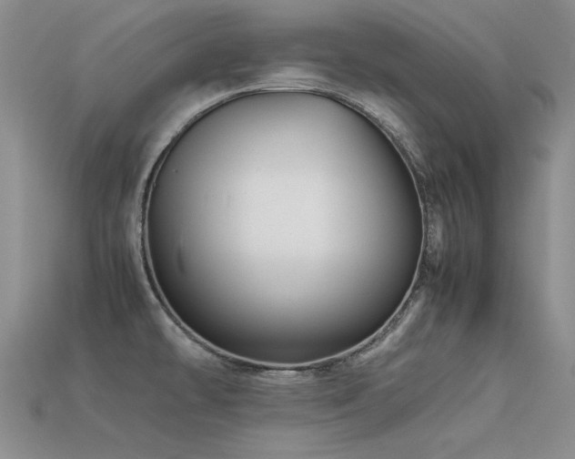 X0000113591478200909181321