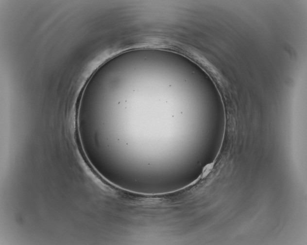 X0000113591479200909181321