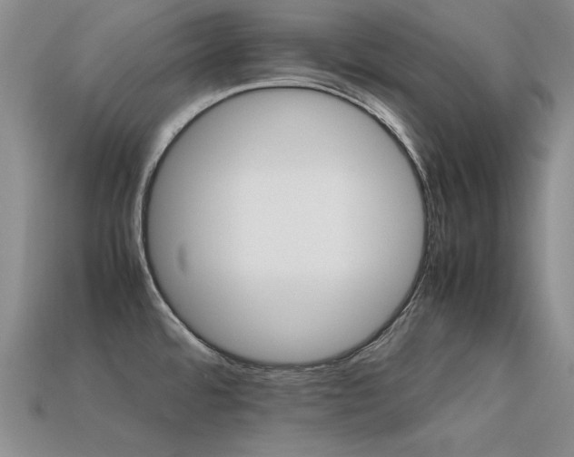 X0000113591480200909181321