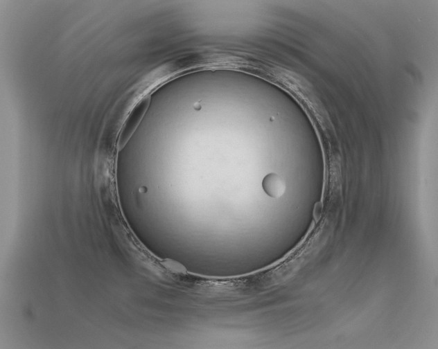 X0000113591481200909181321