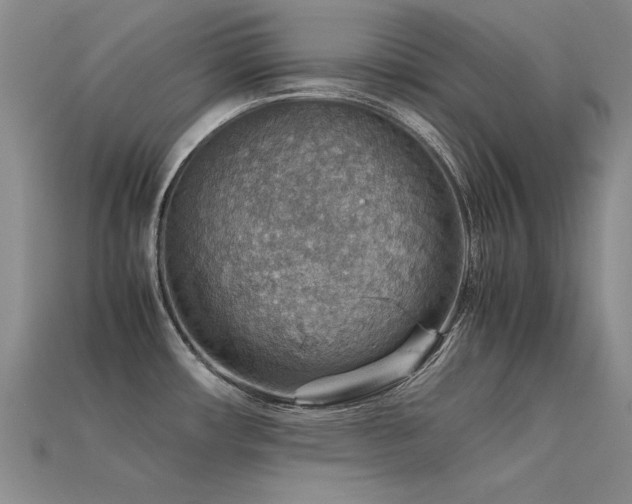 X0000113591482200909181321