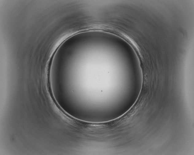 X0000113591483200909181321