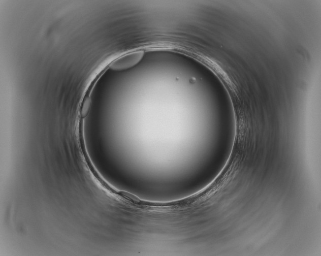 X0000113591484200909181321