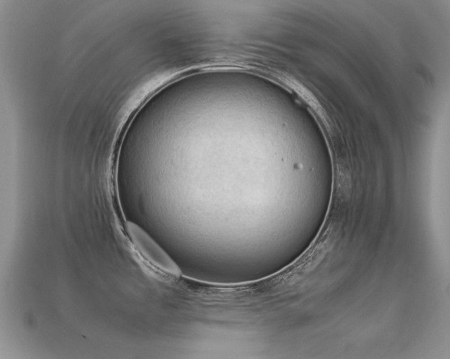 X0000113591485200909181321