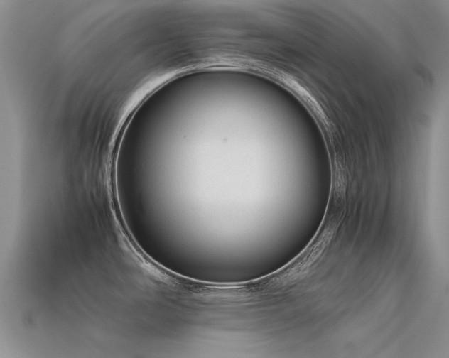 X0000113591486200909181321