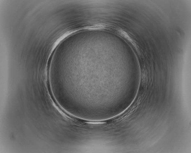 X0000113591487200909181321