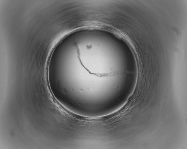 X0000113591488200909181321