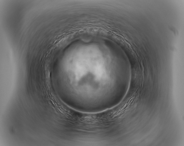 X0000113591489200909181320