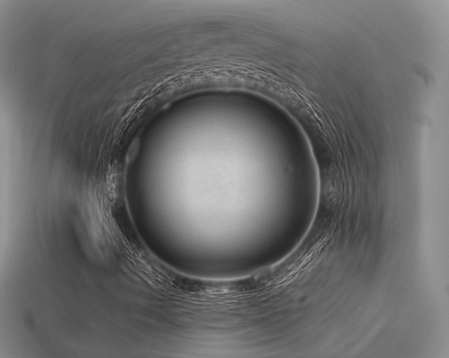 X0000113591490200909181320