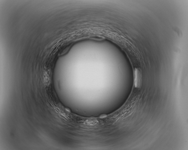 X0000113591491200909181320