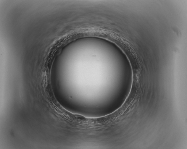 X0000113591493200909181320