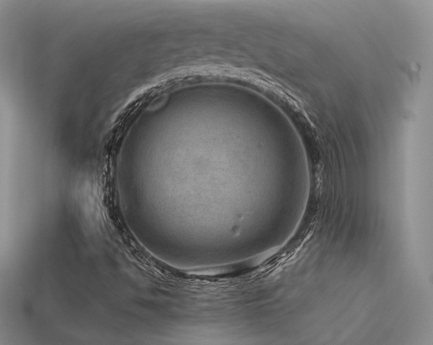 X0000113591494200909181320