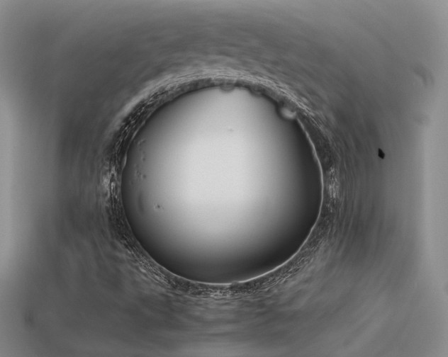 X0000113591495200909181320