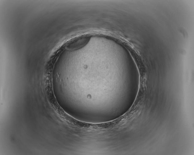 X0000113591496200909181320