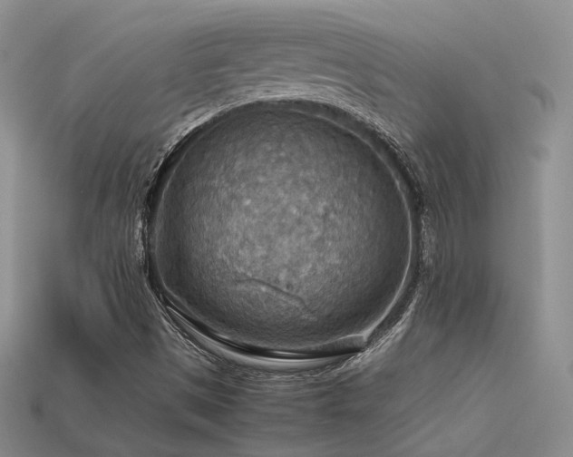 X0000113591497200909181320