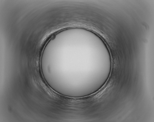 X0000113591499200909181320