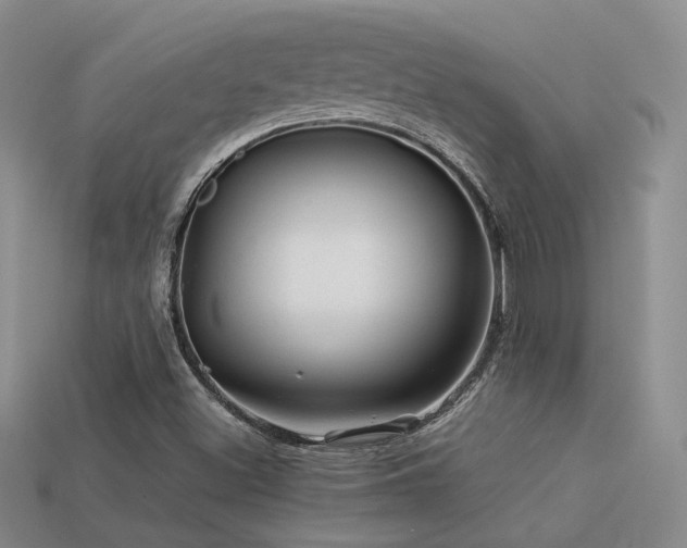 X0000113591500200909181320