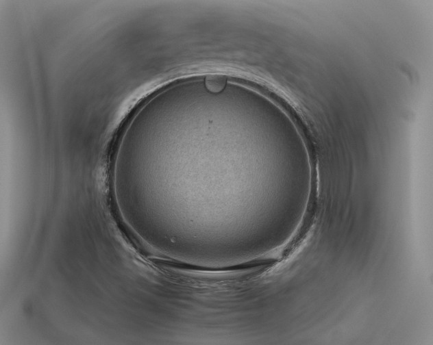 X0000113591501200909181320