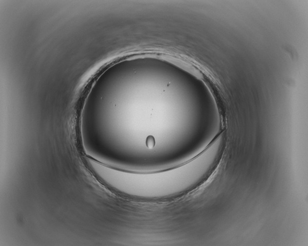 X0000113591502200909181320