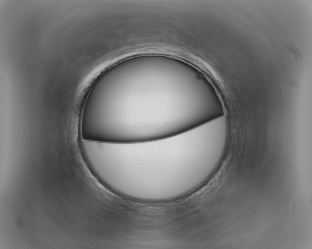 X0000113591504200909181320