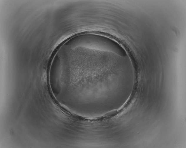 X0000113591505200909181320