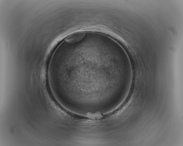 X0000113591506200909181320