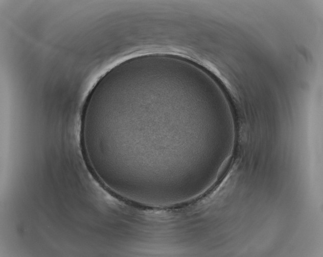 X0000113591508200909181320