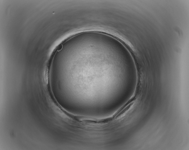 X0000113591510200909181320