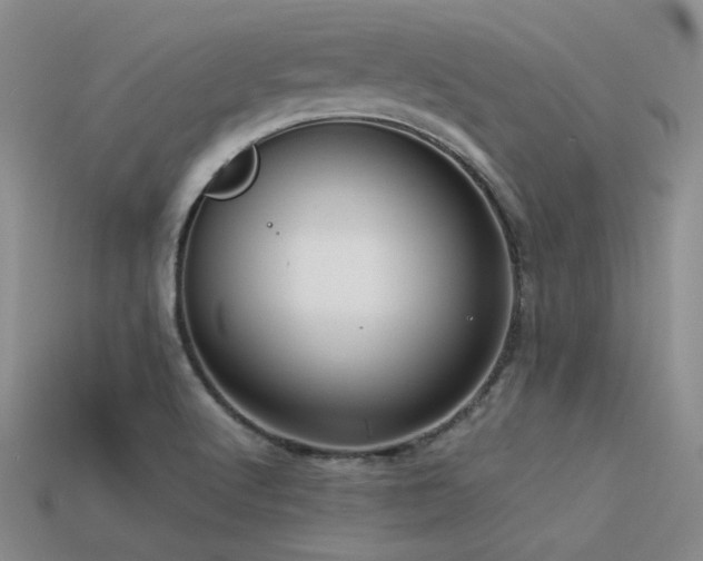 X0000113591512200909181320