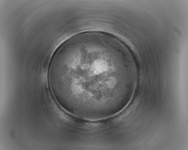 X0000113591513200909181320