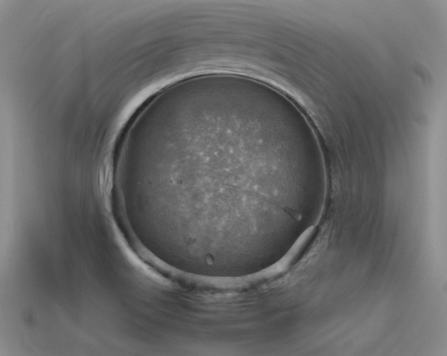 X0000113591515200909181320