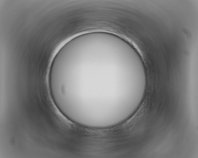 X0000113591516200909181320