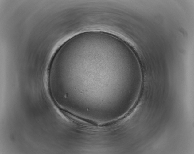 X0000113591517200909181320