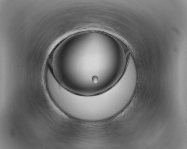 X0000113591518200909181321