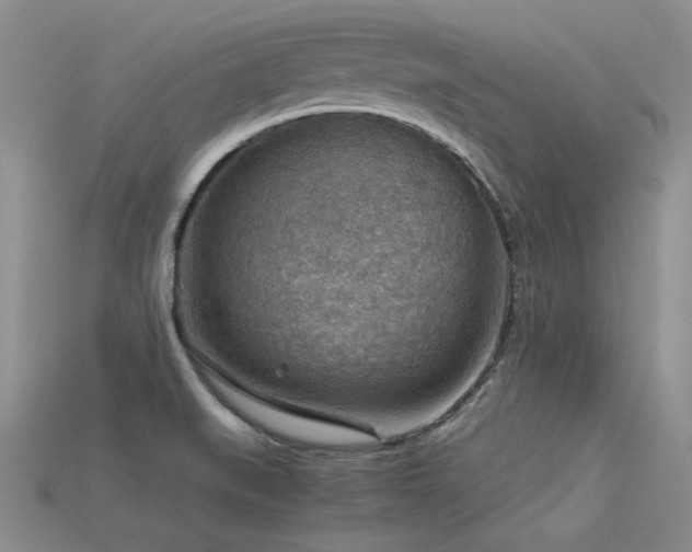 X0000113591519200909181321