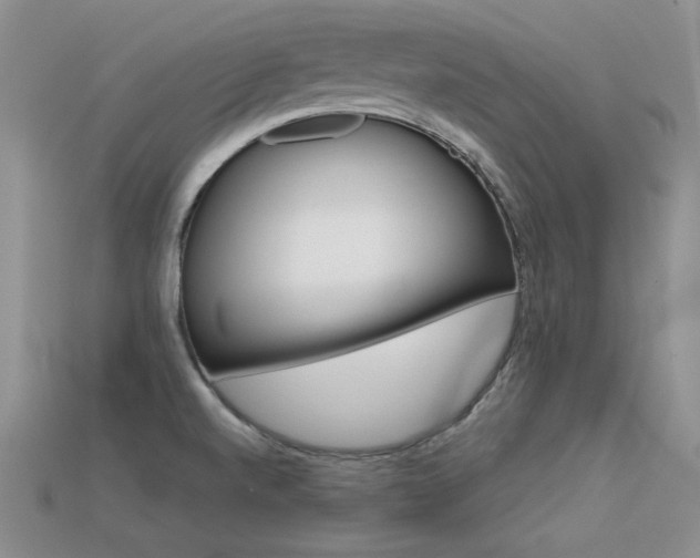 X0000113591520200909181321