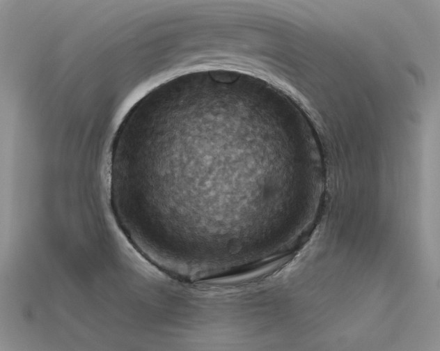 X0000113591522200909181321