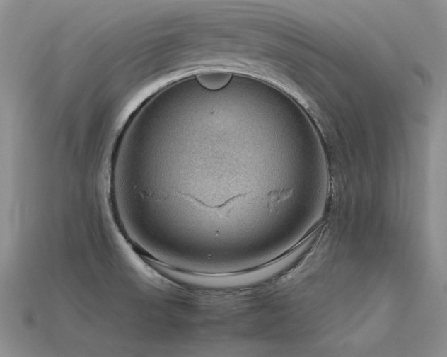 X0000113591523200909181321