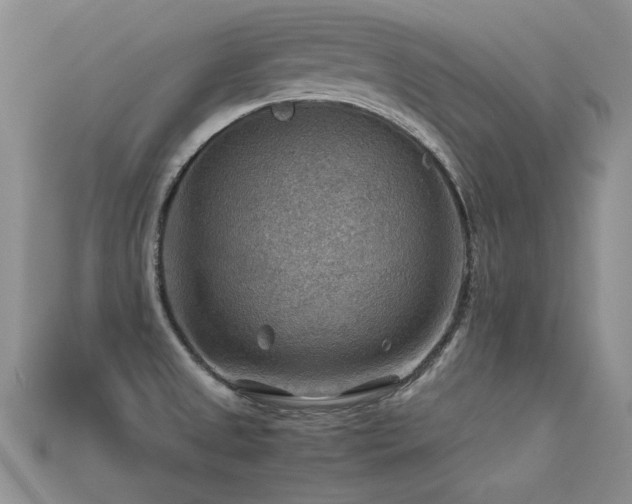 X0000113591525200909181321