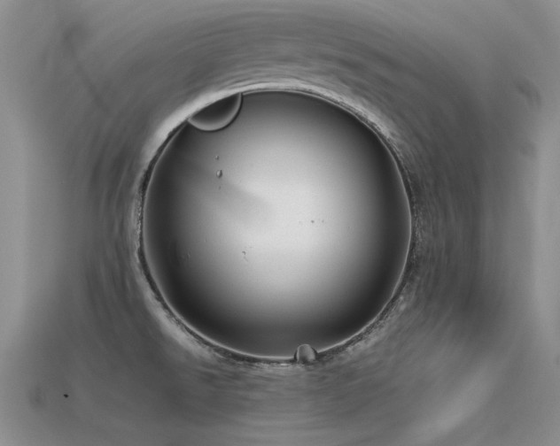 X0000113591526200909181321