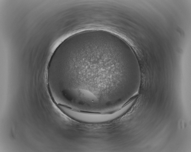 X0000113591527200909181321