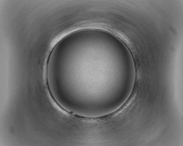 X0000113591528200909181321